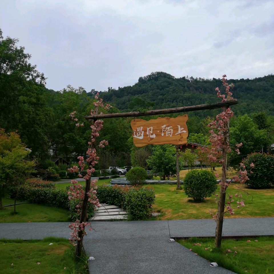 蒲公英的-约定