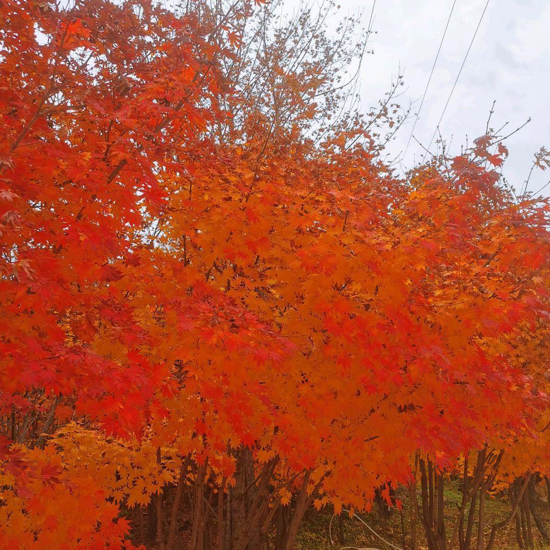 爱生活，爱自己。加油吧🎖️🎖️🎖️