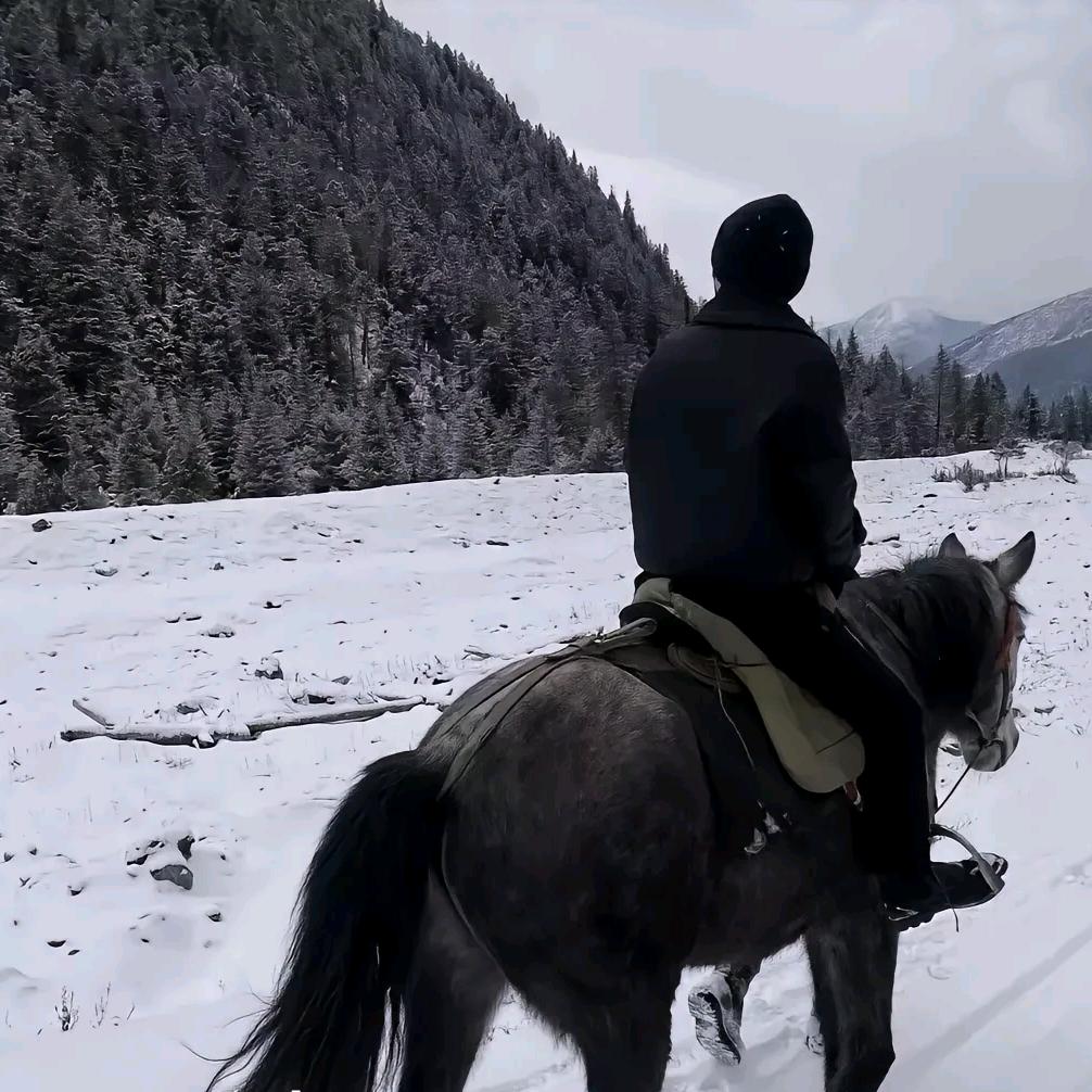 刘得青山在