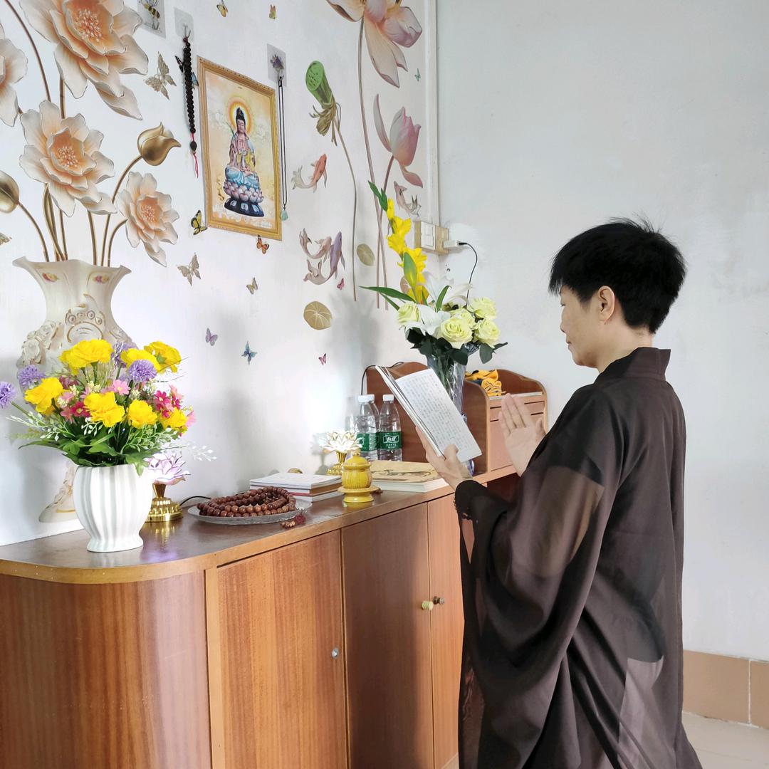 紫杹