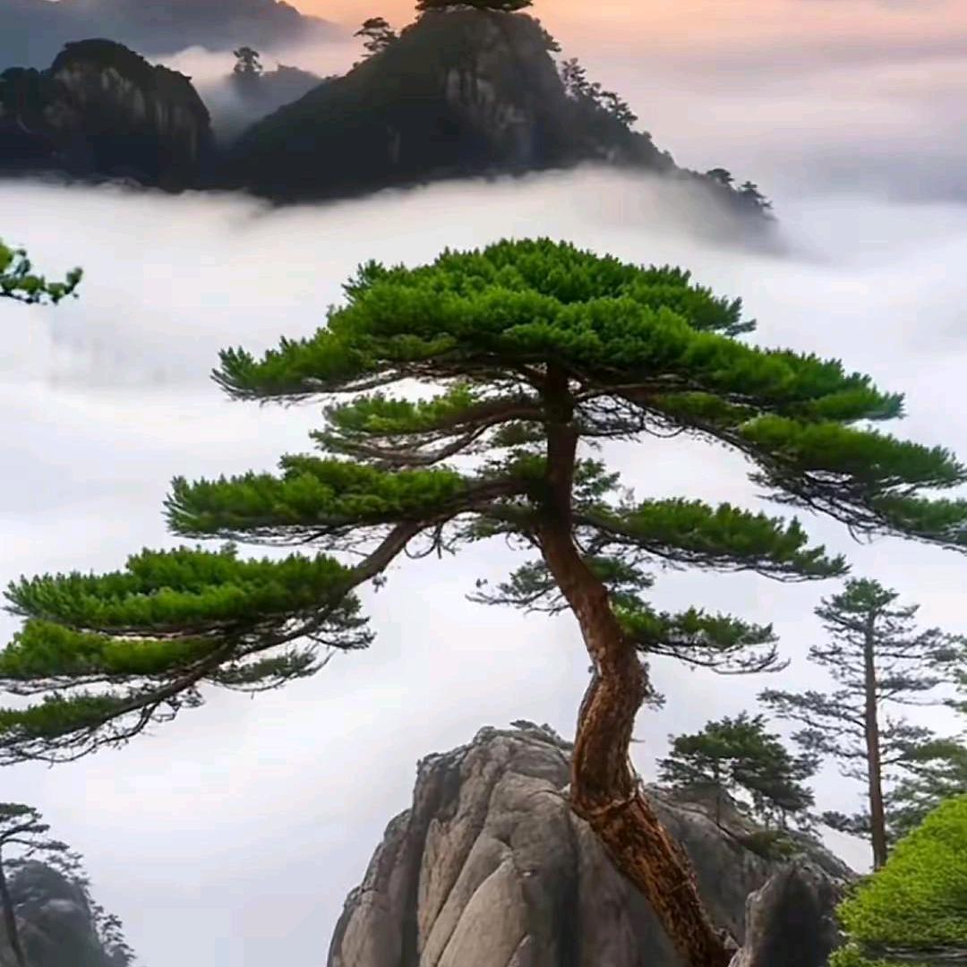 匆匆那年已是过往云烟