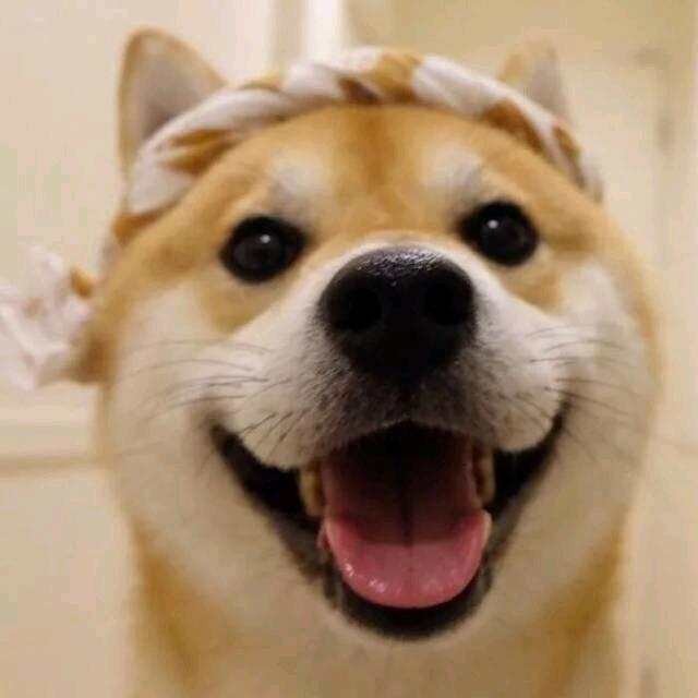 智者