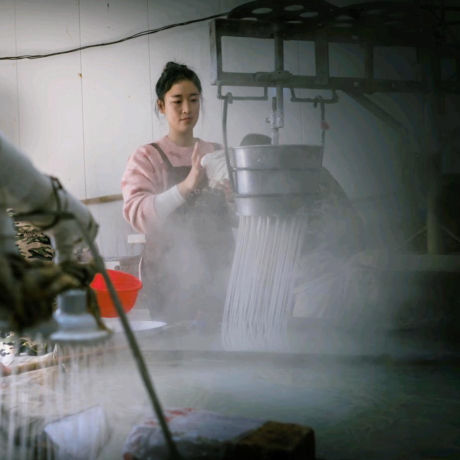 鲁桥大口井王文纯红薯粉条