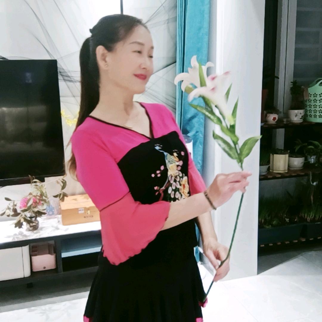文文