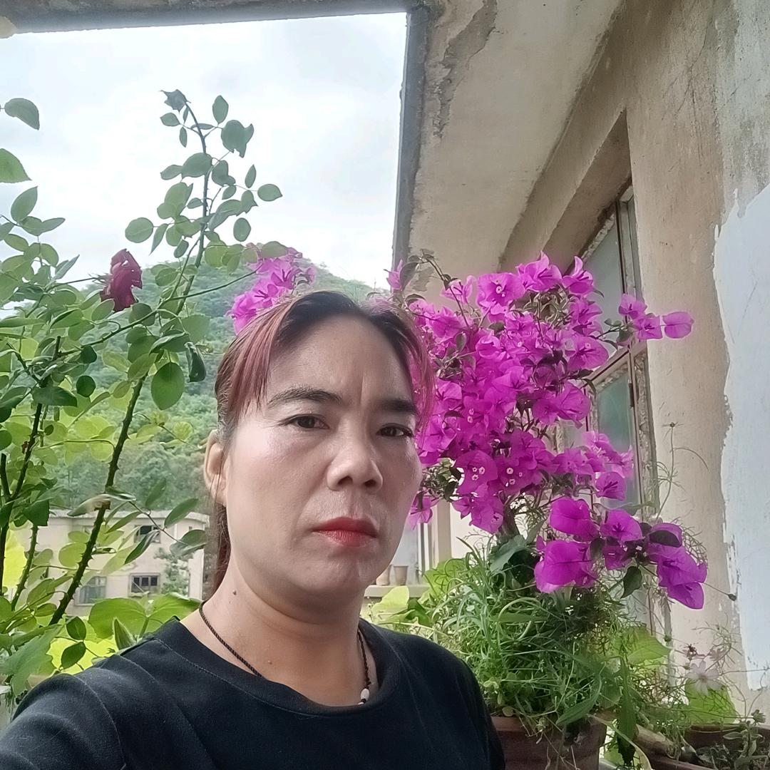 肖姐
