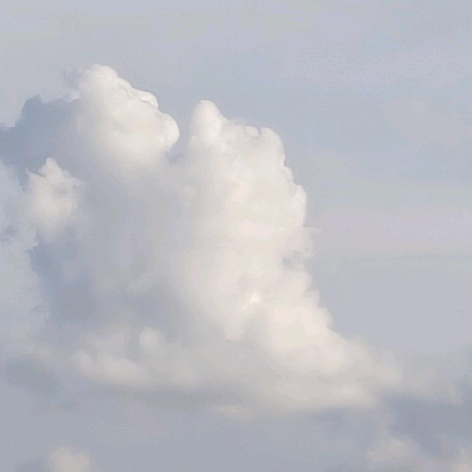 淼淼