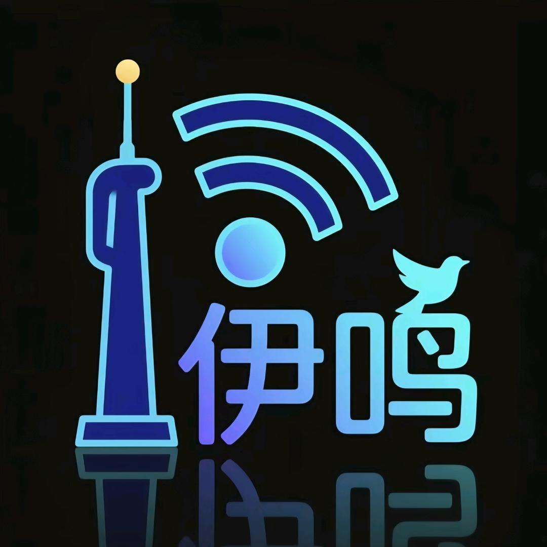 伊鸣数码旗舰店