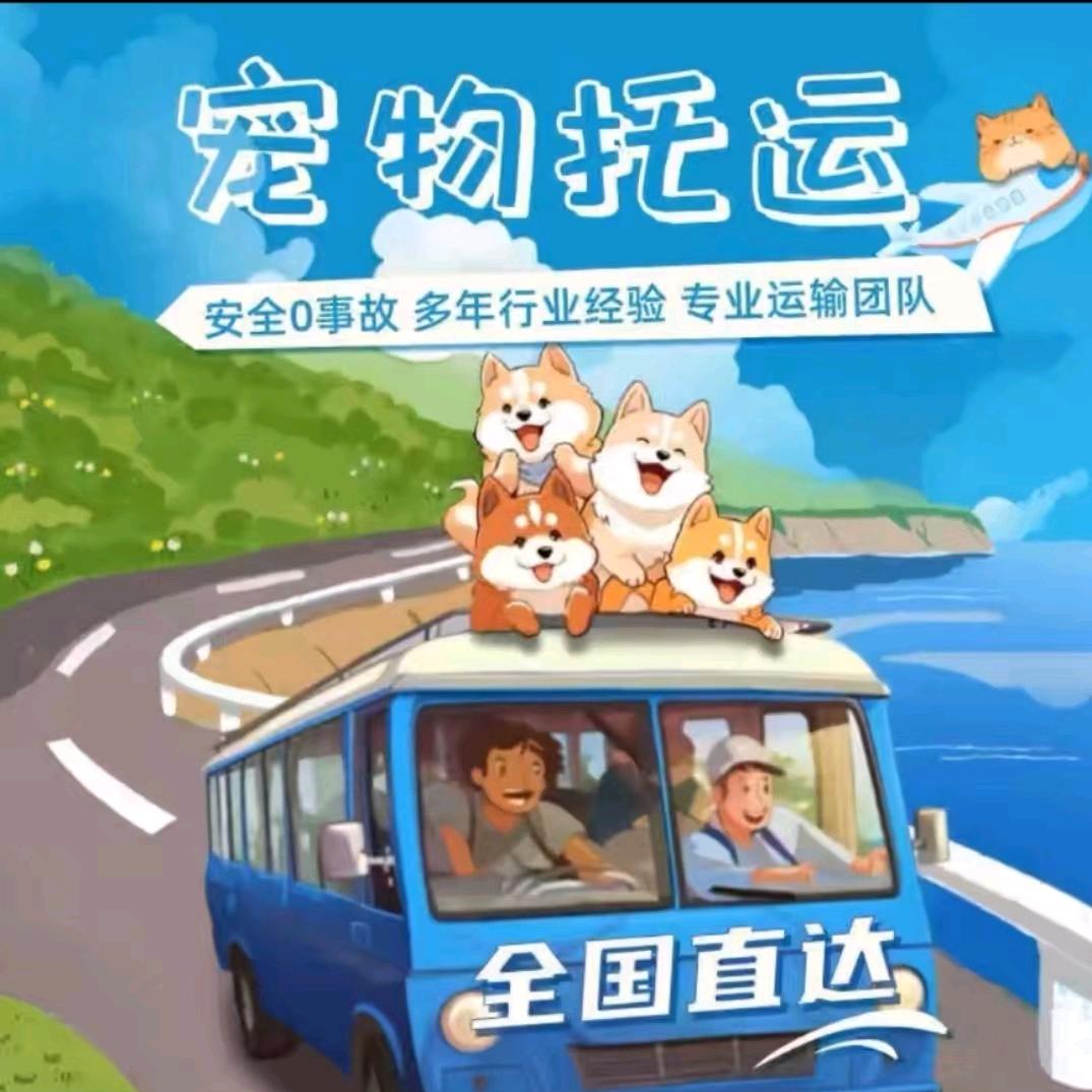 肇庆宠物托运中心发往全国（招加盟）