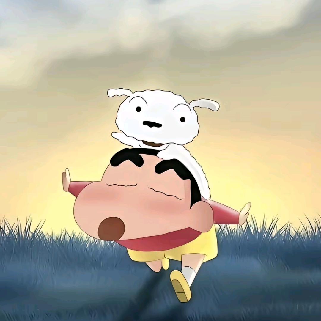 布知
