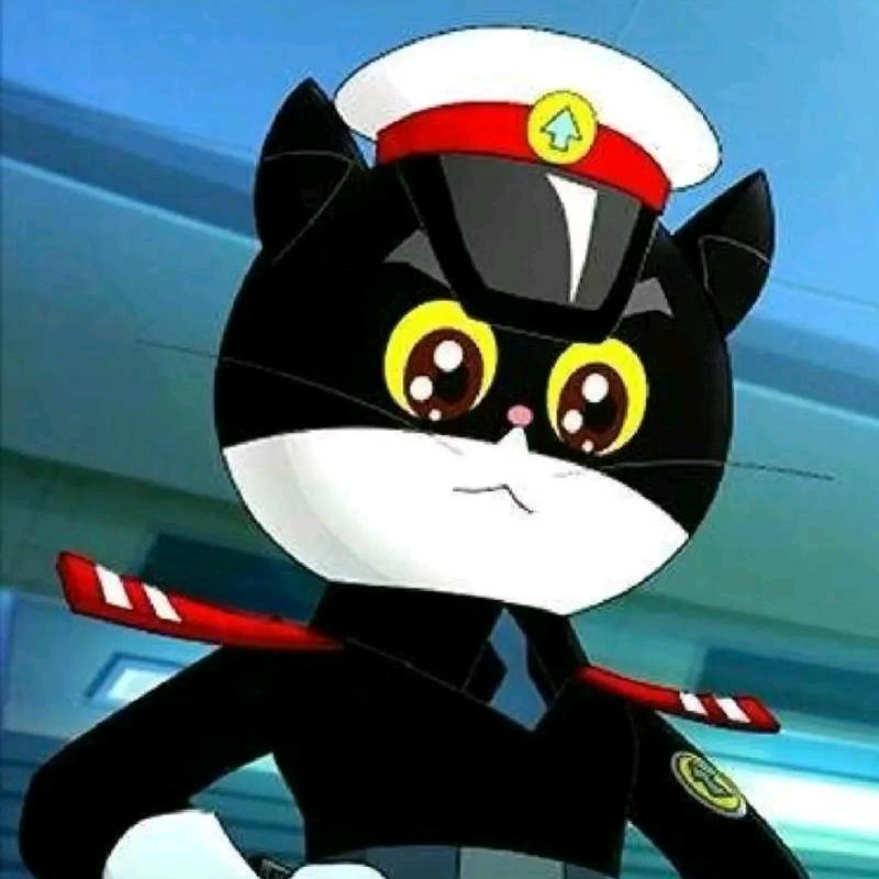 喵专家（好物甄选）