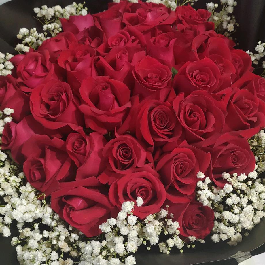 🌹念念不忘，必有回响