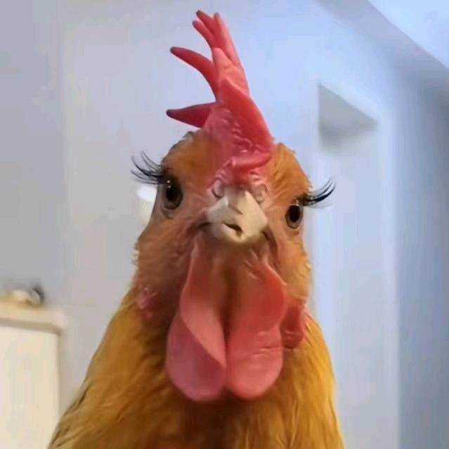 东北虎