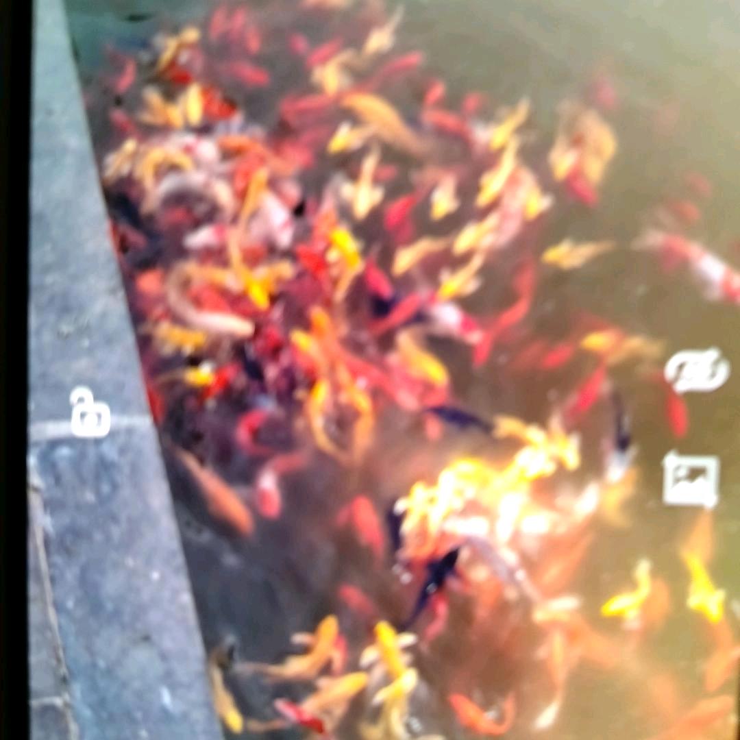 开心快乐α每一天α