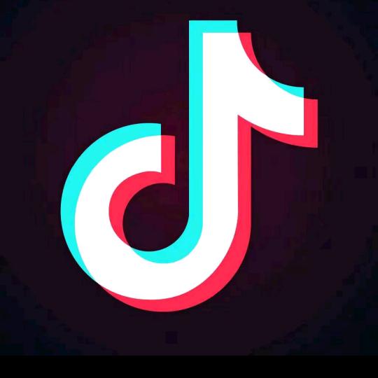 6235041989955