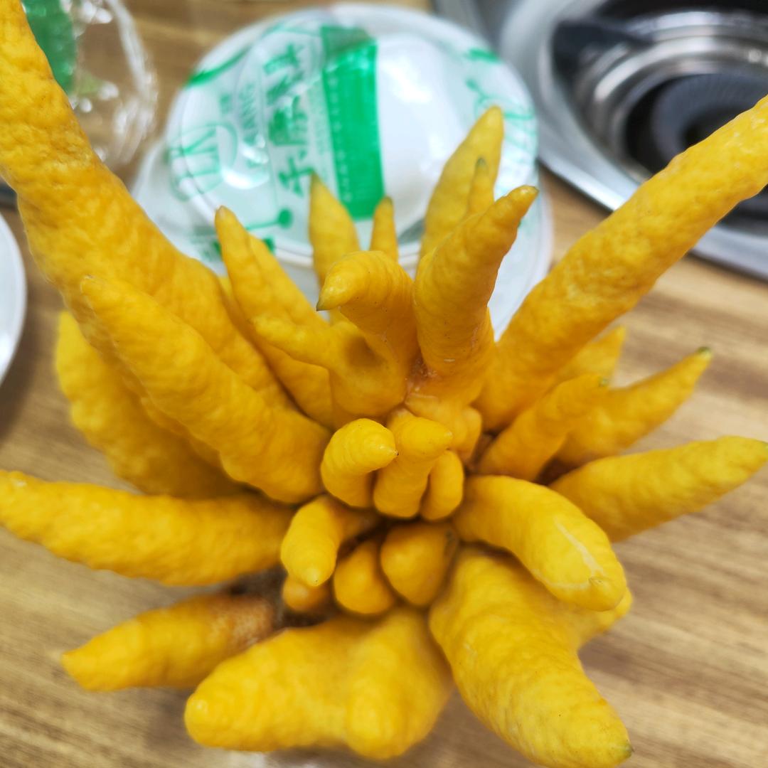 佛手瓜