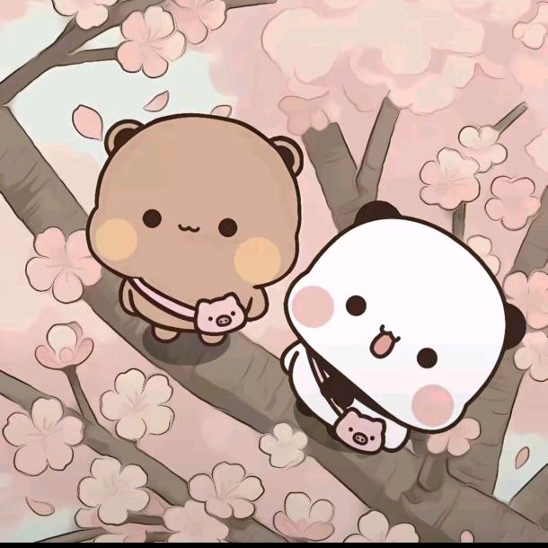 随缘而定