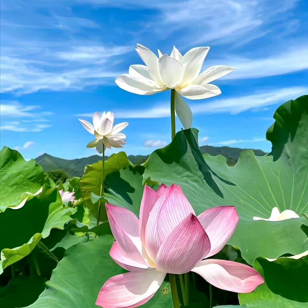 小何爱生活