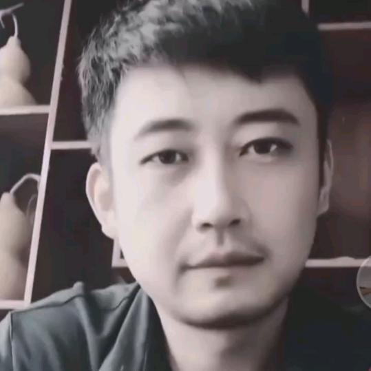 梁山绿佳电车（旭派电池）