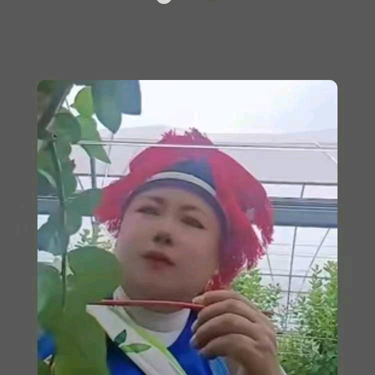 开心美容