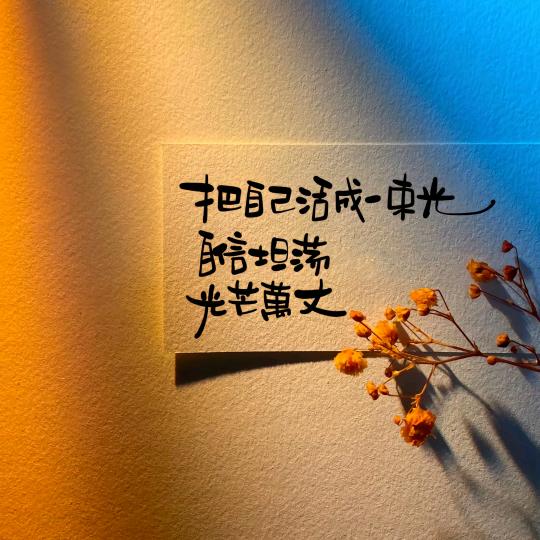 南县安家房产—余佳