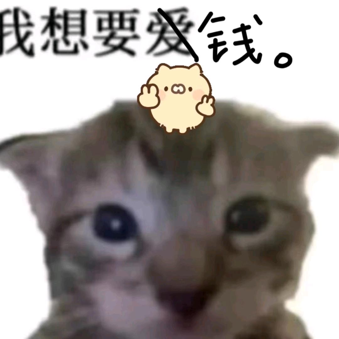 嗯对视力架