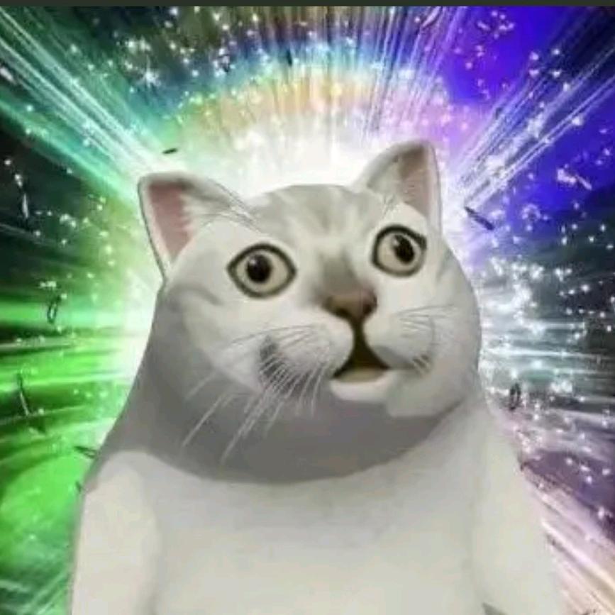 爱吃香菜（考研版）