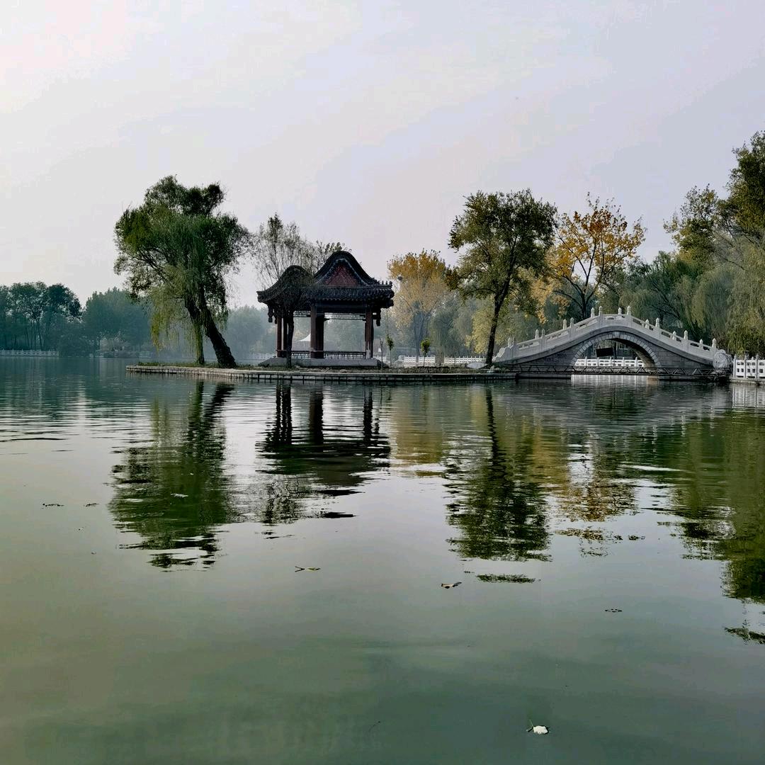 宾龙