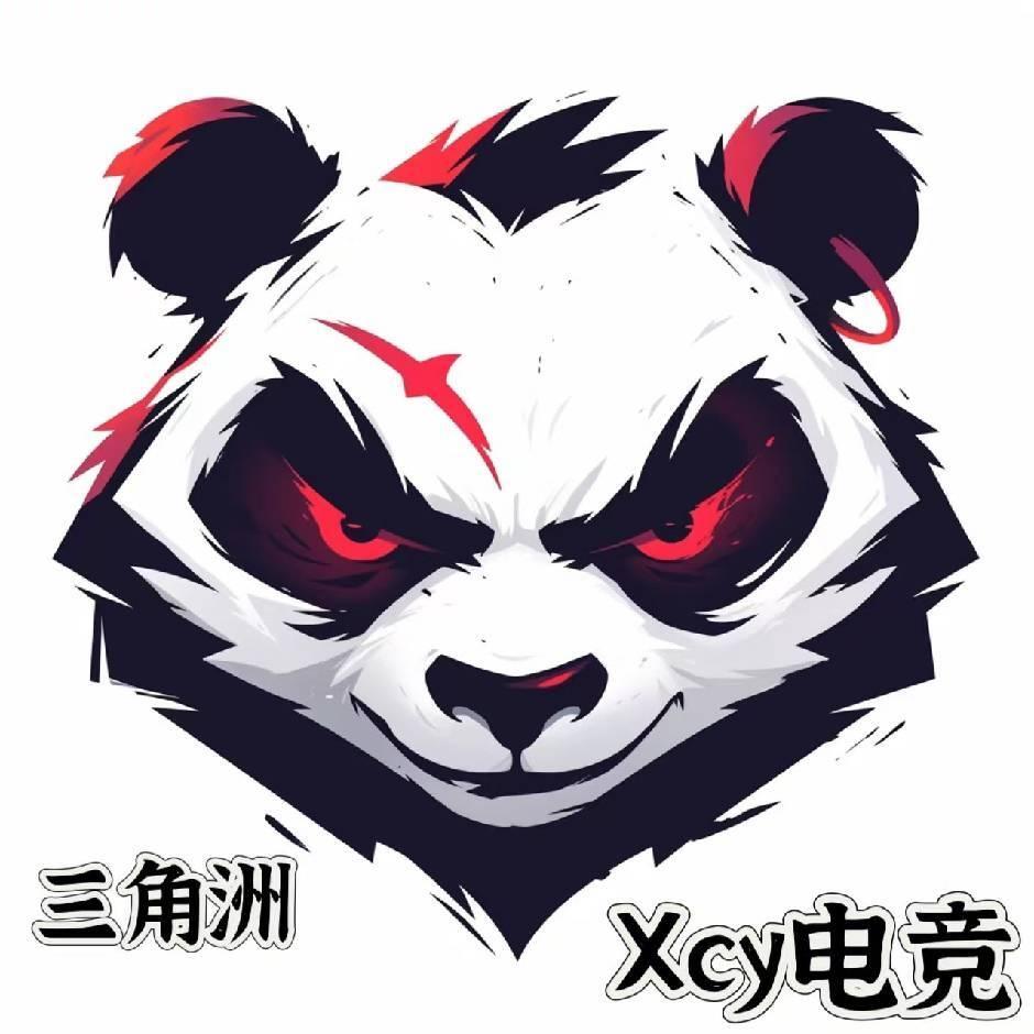 Xcy电竞（三角洲）