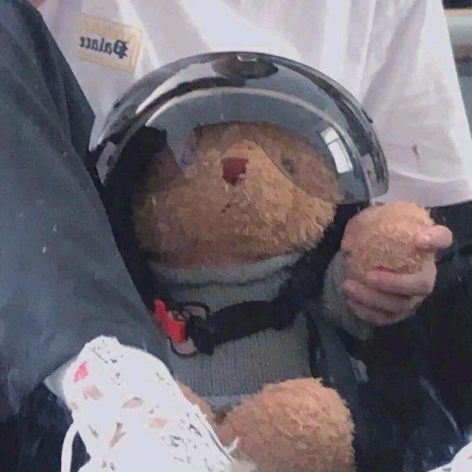 用··薯条整点码头的鸥