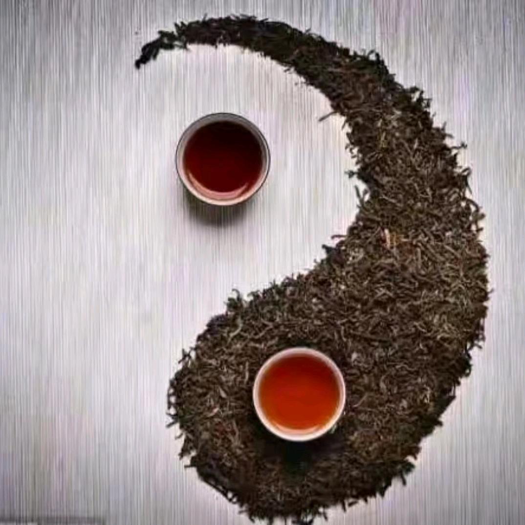 清客子
