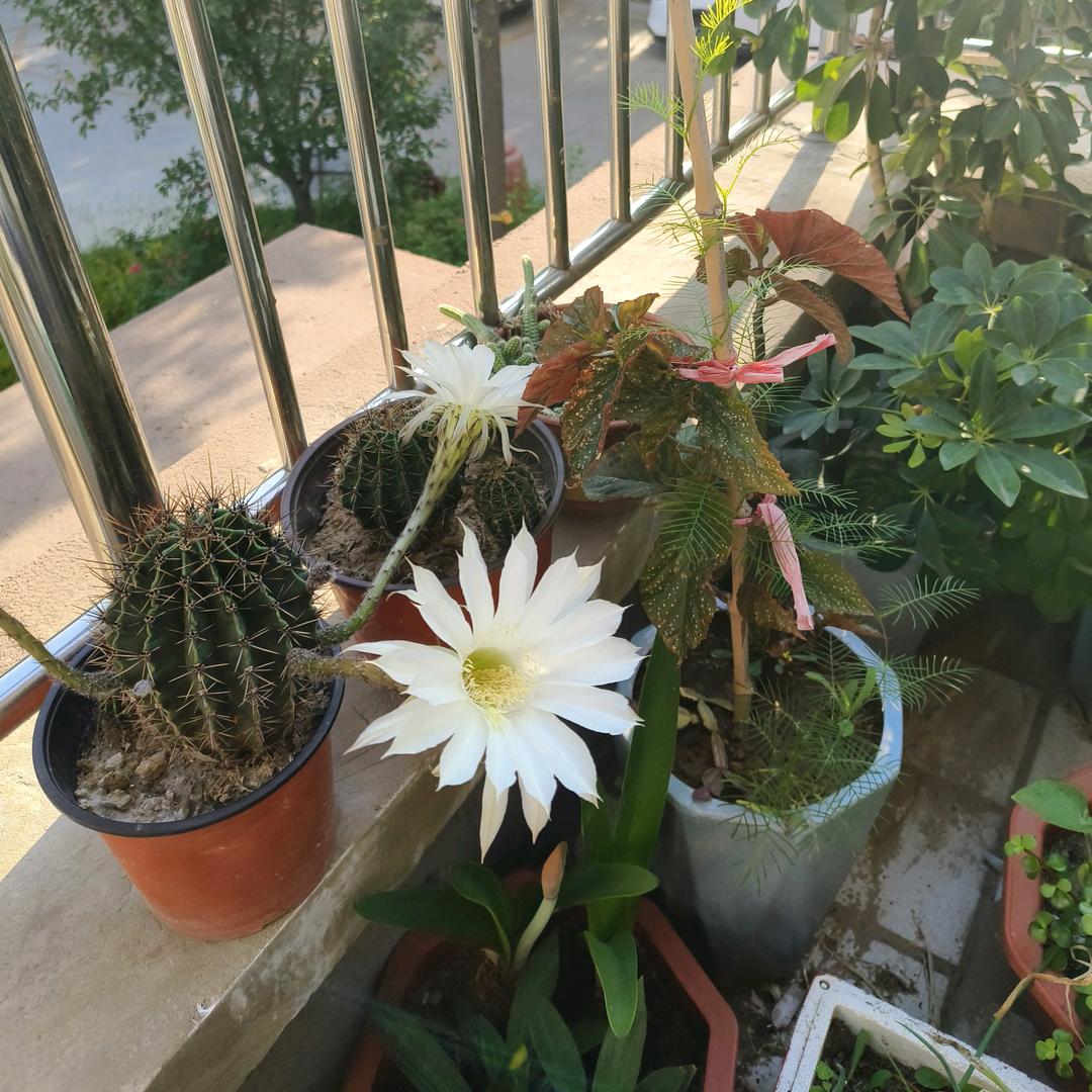 旧时光