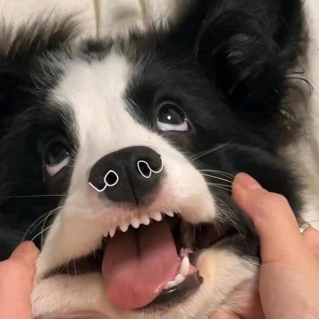 烦òᆺó