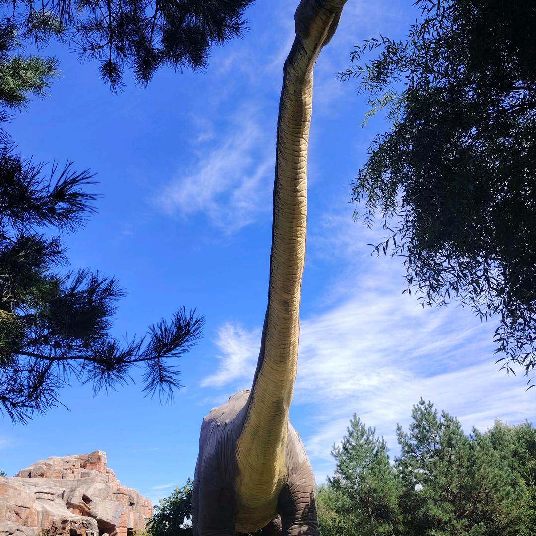 我在做！天在看\_