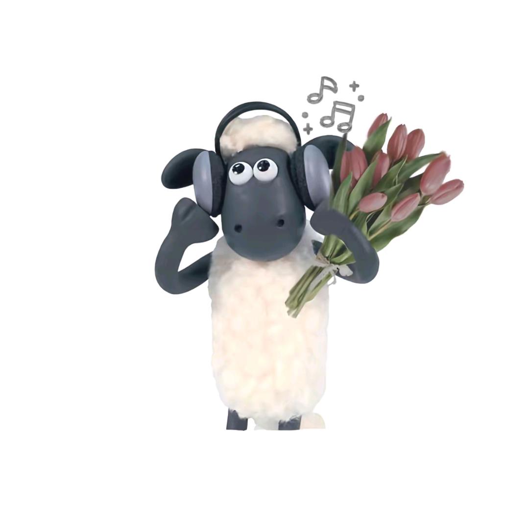 xiao🐑