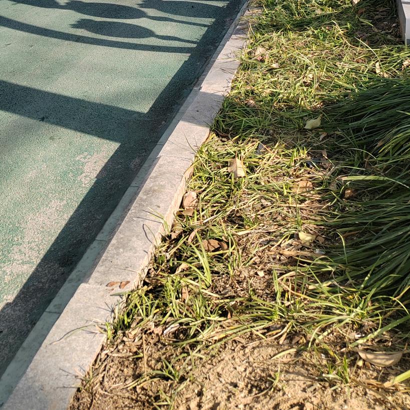 别回忆因为回不去98