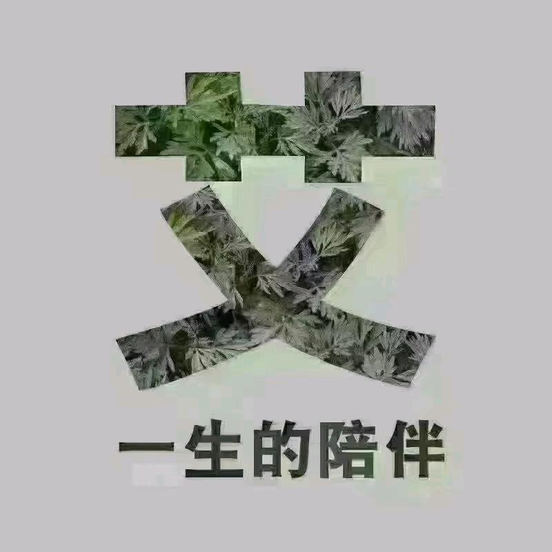 关姐爱灸