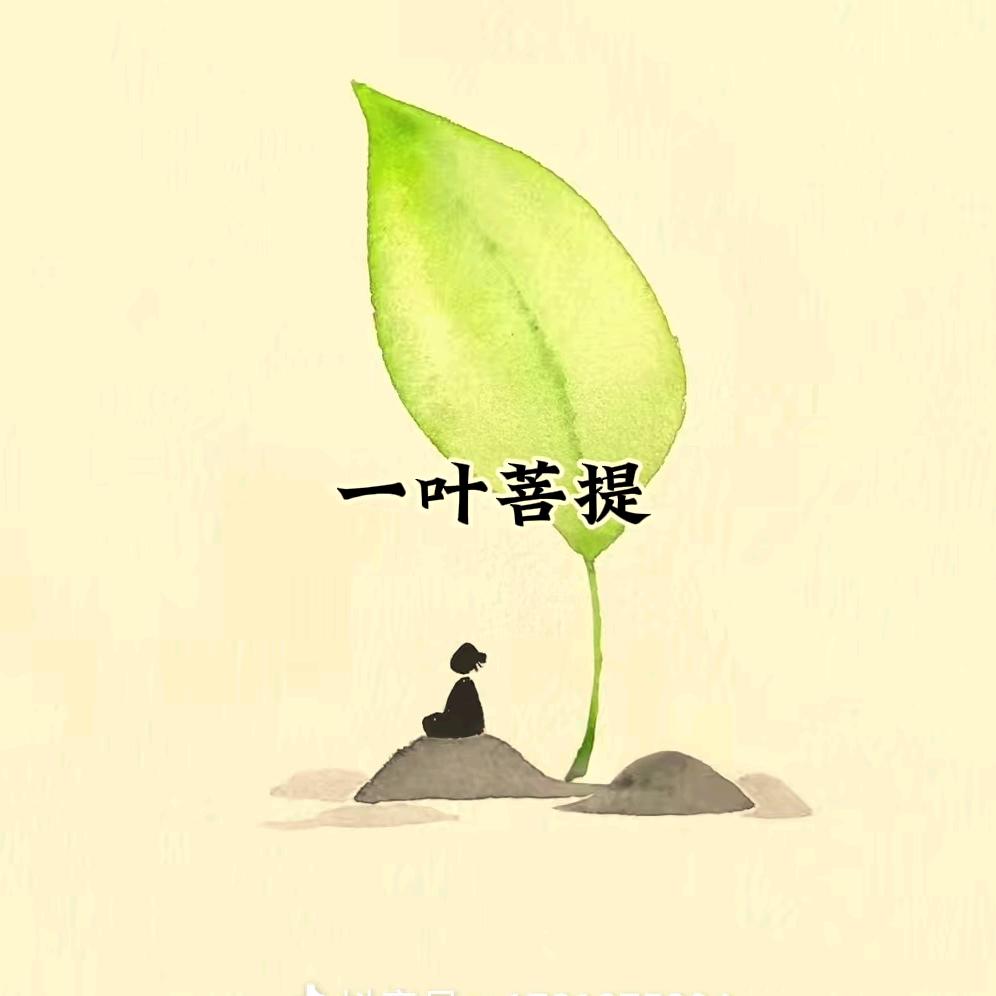 安妮宝贝