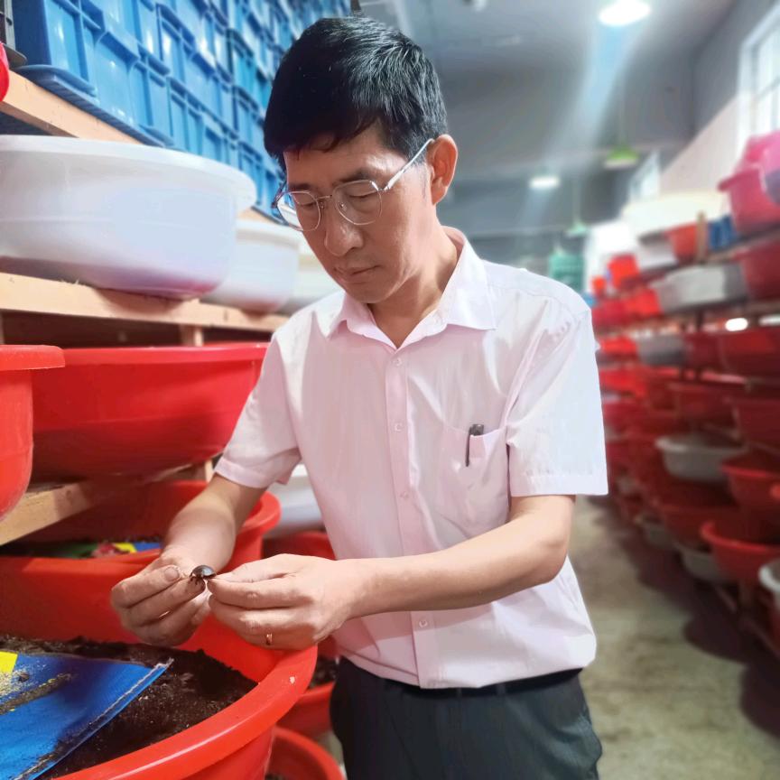 在昆明养殖琵琶甲和土元的张老师
