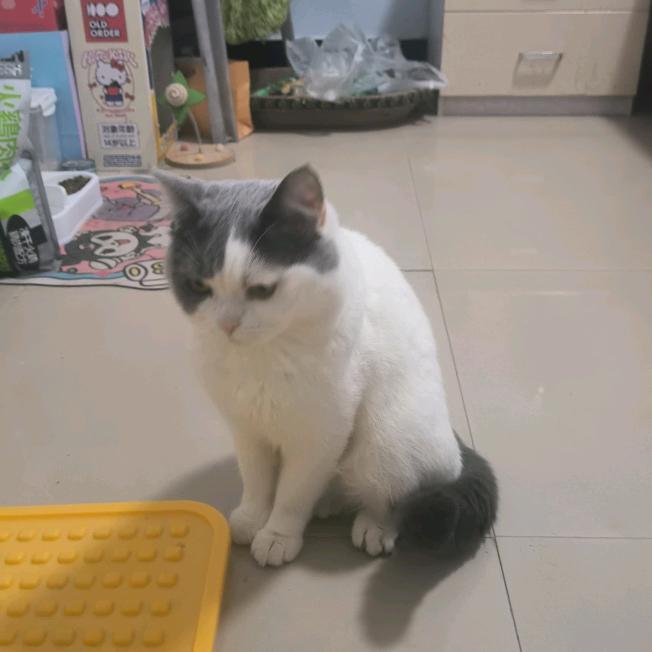 用户7005055098568杨闫民