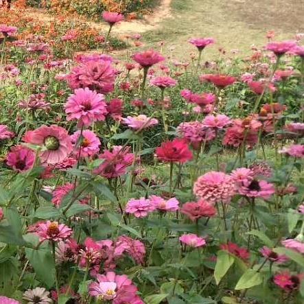 湘^0^向（拒聊）