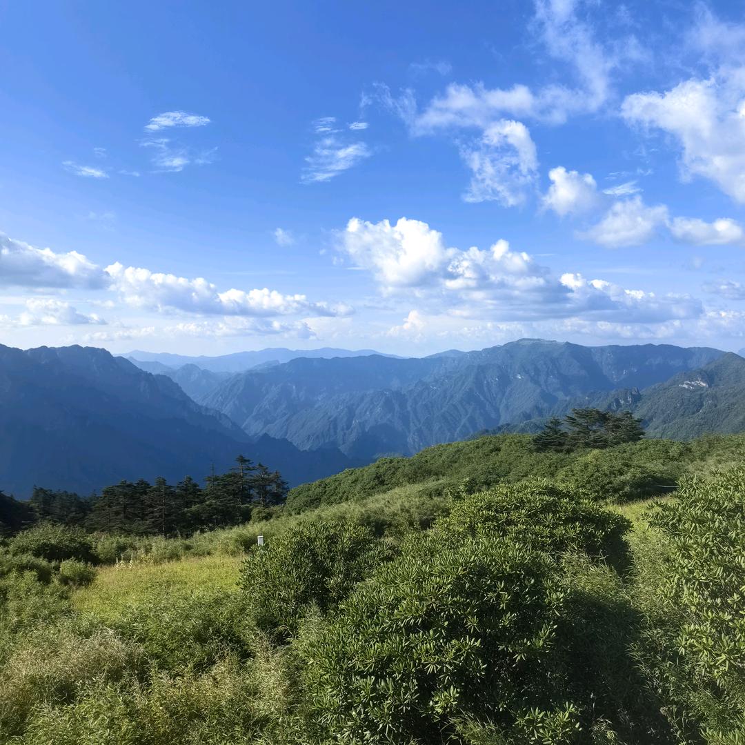 好运常在