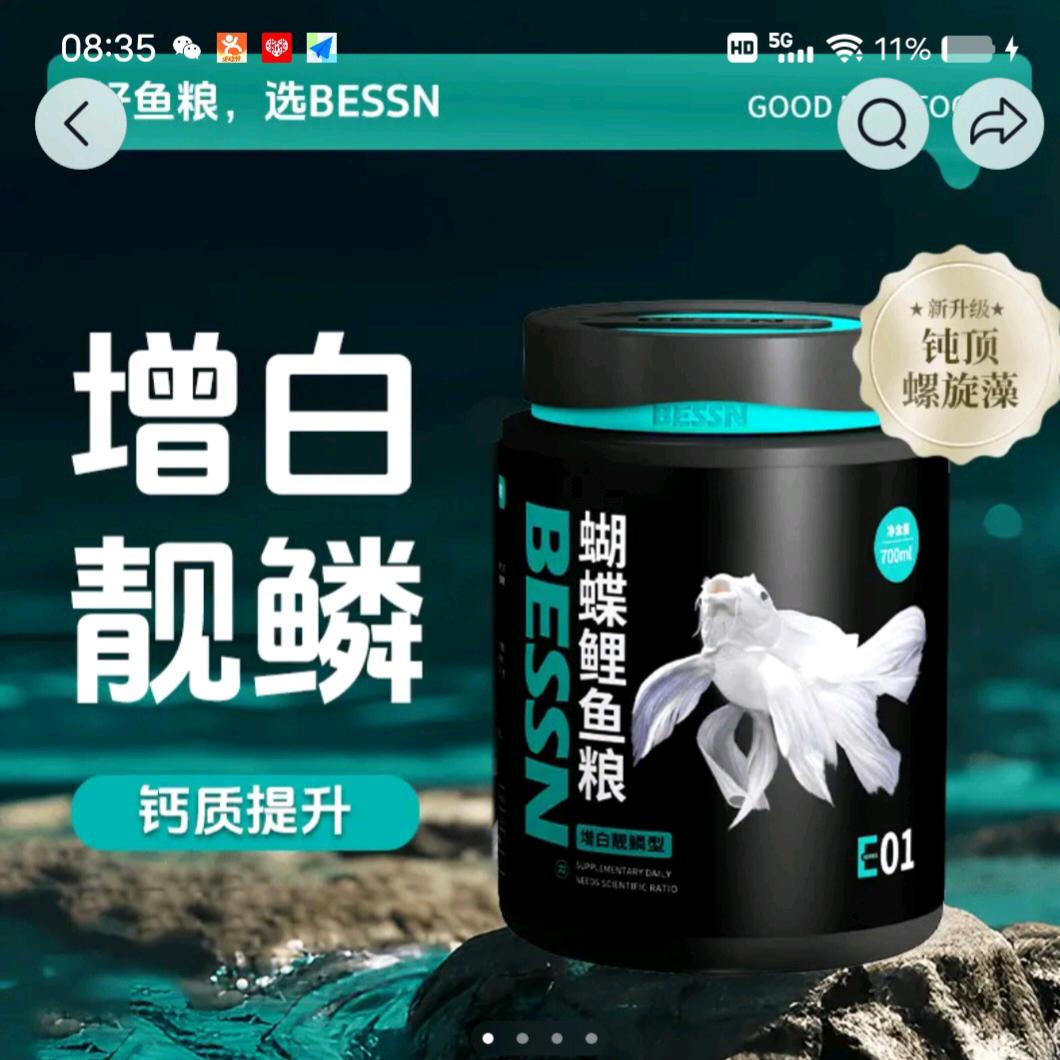 蝴蝶鲤养殖实战派/饲料研发师