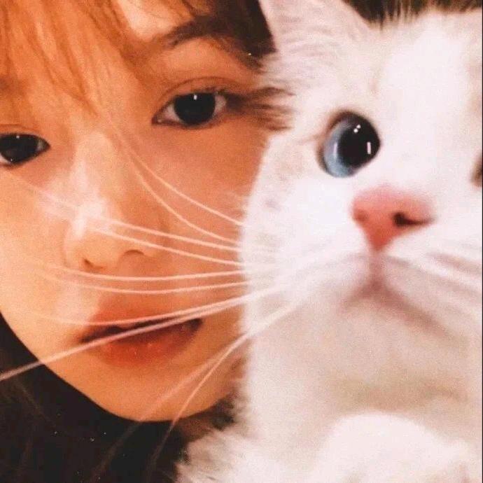 圆脸日记