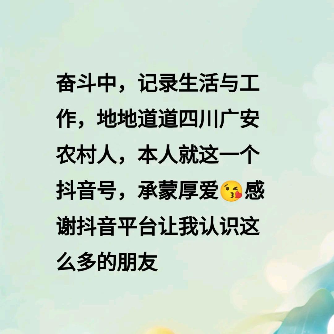 国网小子（广安）