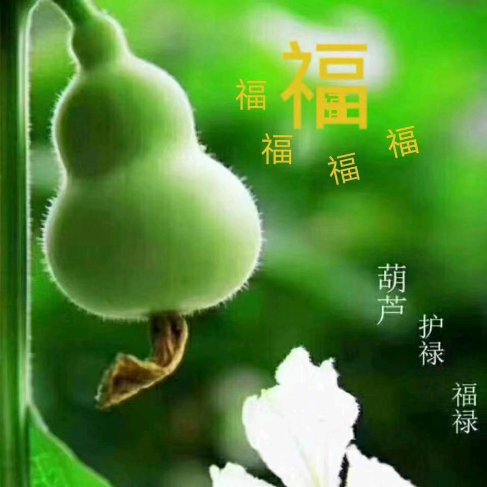 雅婷国学文化