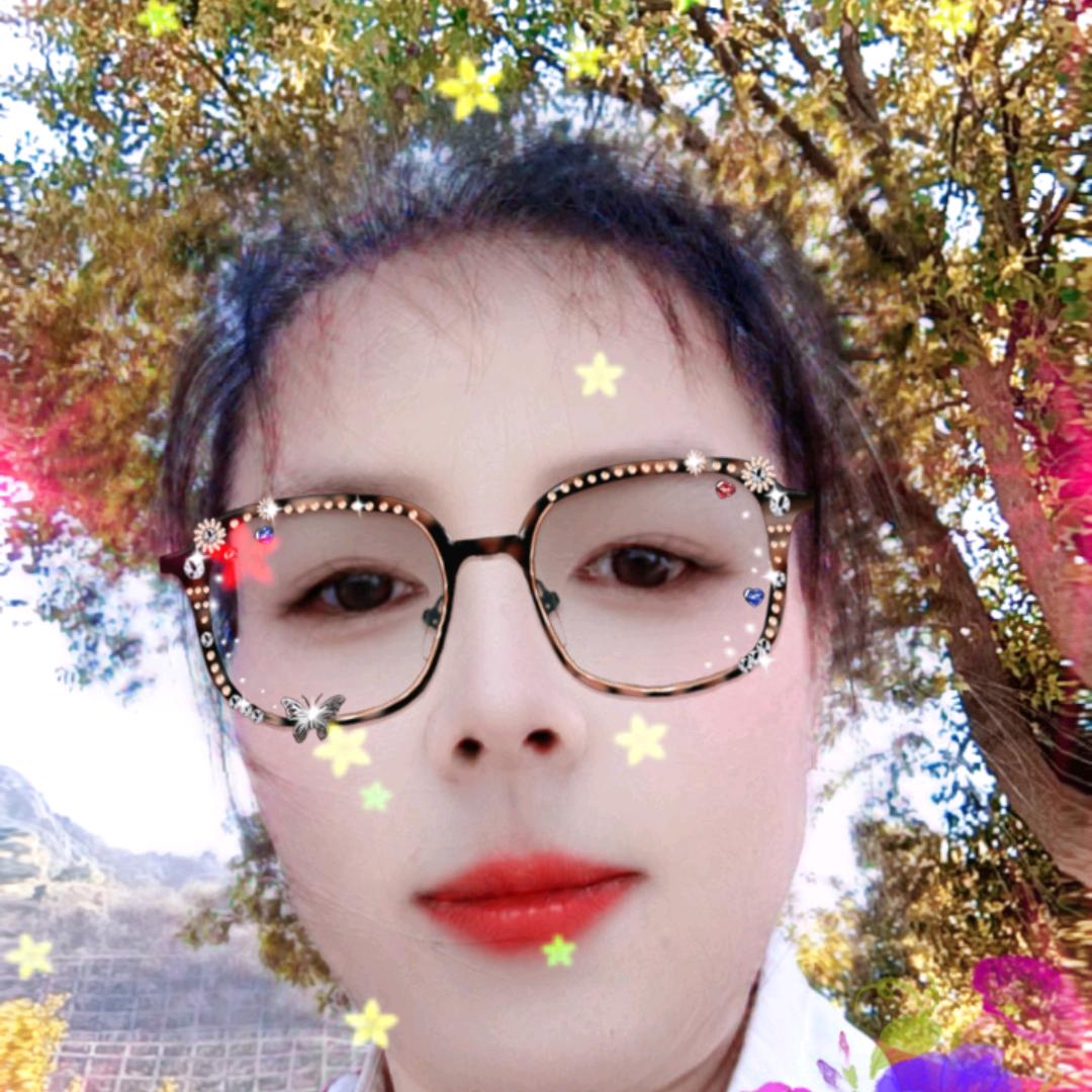 独来独往橱窗好物《不定时》