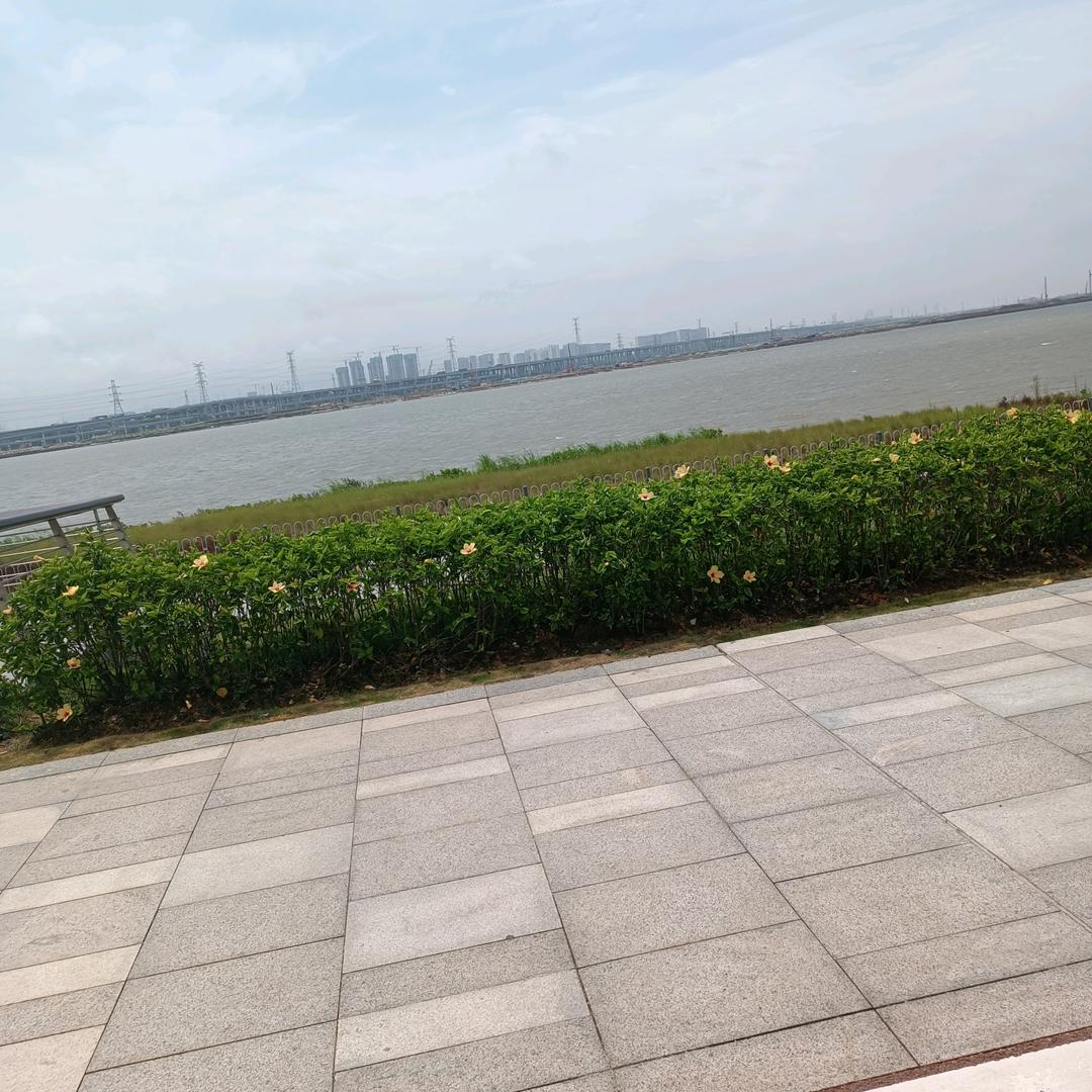 小明明