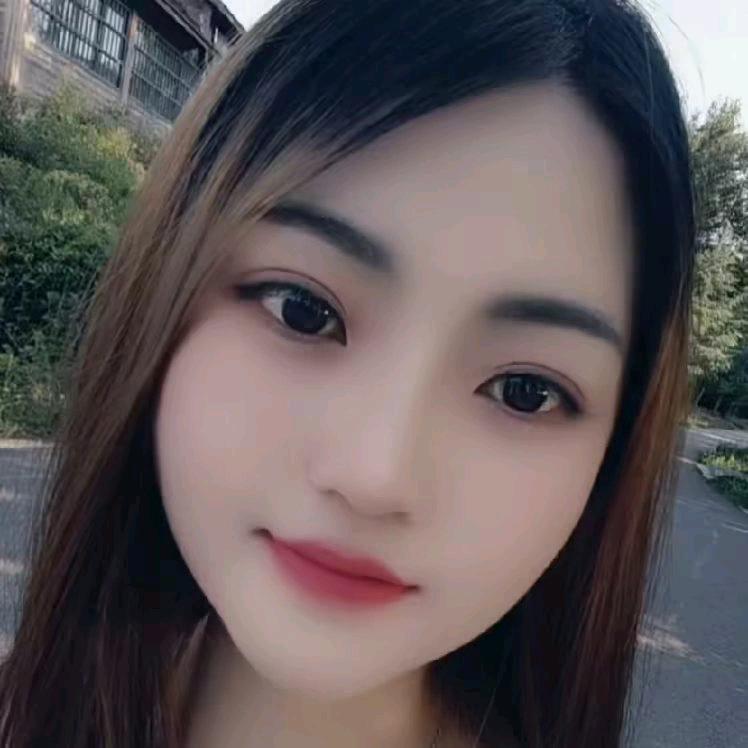 琴宝