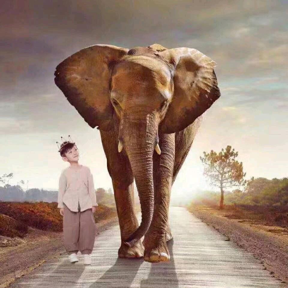 এ᭄꯭辉꯭煌꯭꯭꯭བ