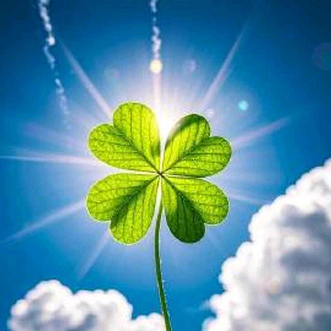 🍀英姐